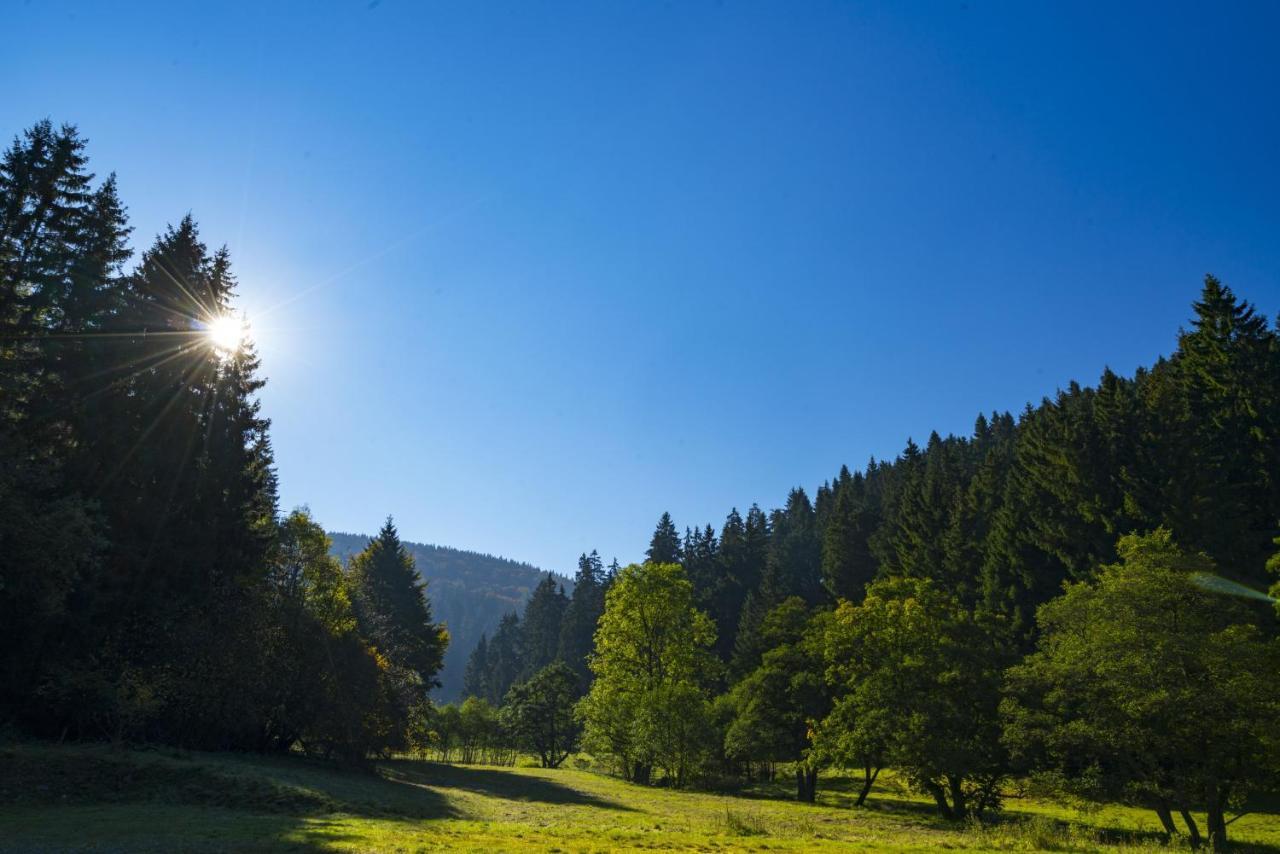 The Conscious Farmer Bed And Breakfast Sauerland Willingen  Exterior photo